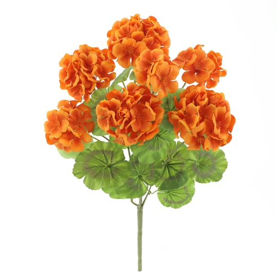 Orange Geranium Bush by Ashland&#xAE;
